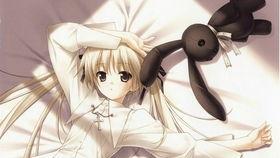 阿狸最新爆料视频大全,揭秘萌宠背后的秘密